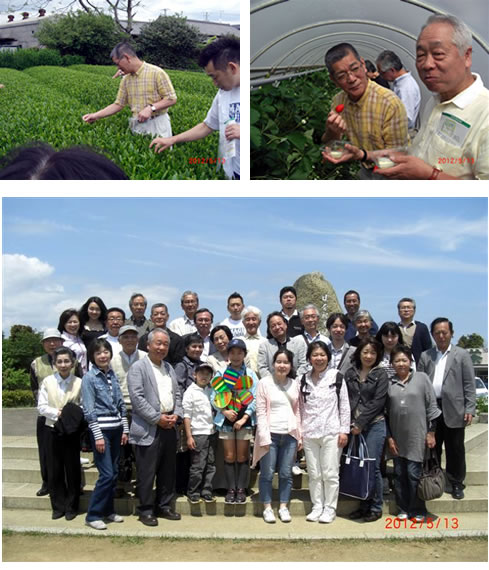 �y�����Ƒ���