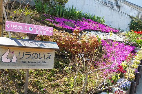 �悱�͂܃t�@�~���[�n�E�X�w�����̂����x�̎ō������J�ɂȂ�܂���