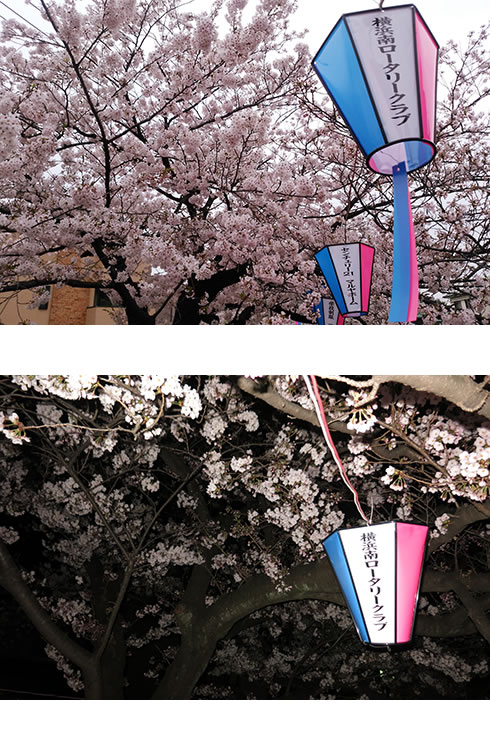 ���l�샍�[�^���[�N���u ���c�����u��27����܂�v�ɋ��^